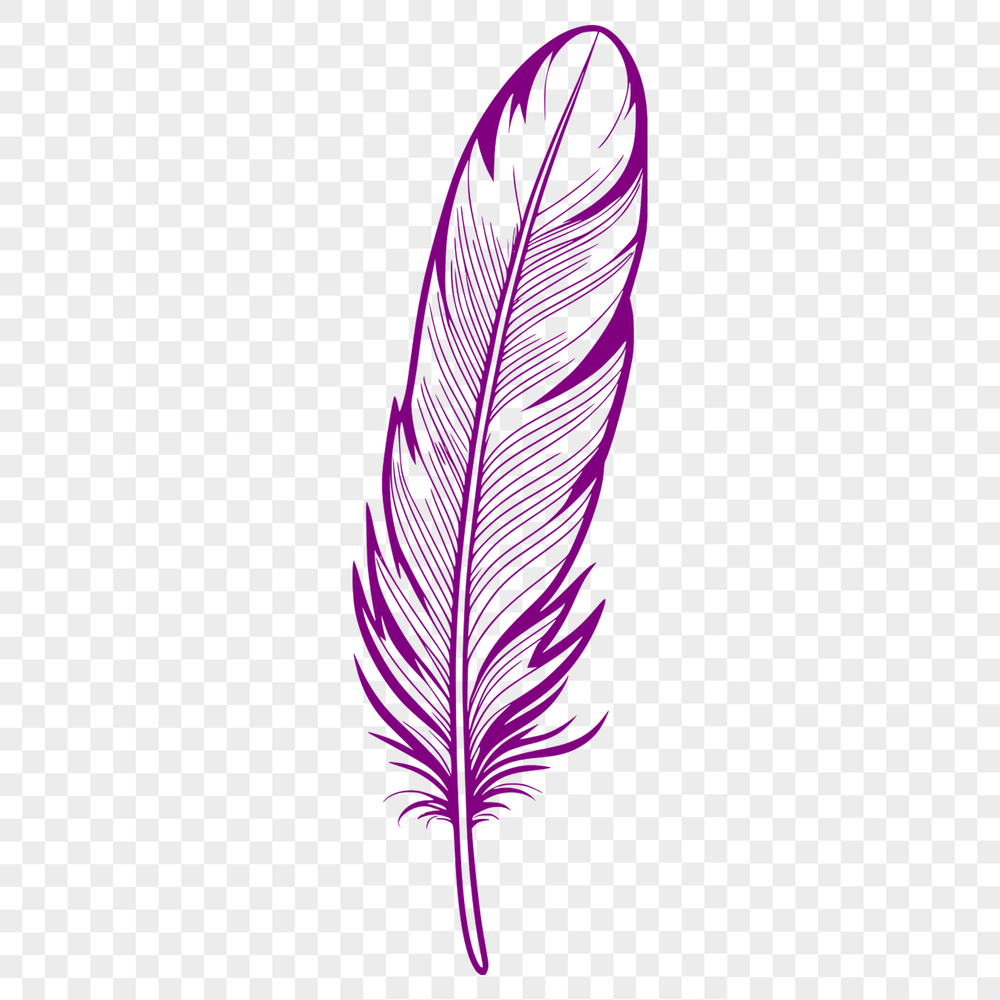Free SVG Feather Design A detailed illustration of a feather in vector format.