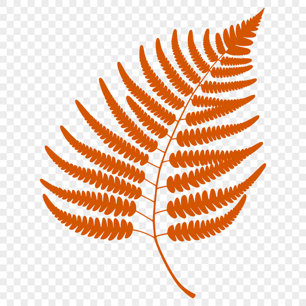Beautiful SVG Cutout Art A simple illustration of a single leaf with detailed cutouts and veins.