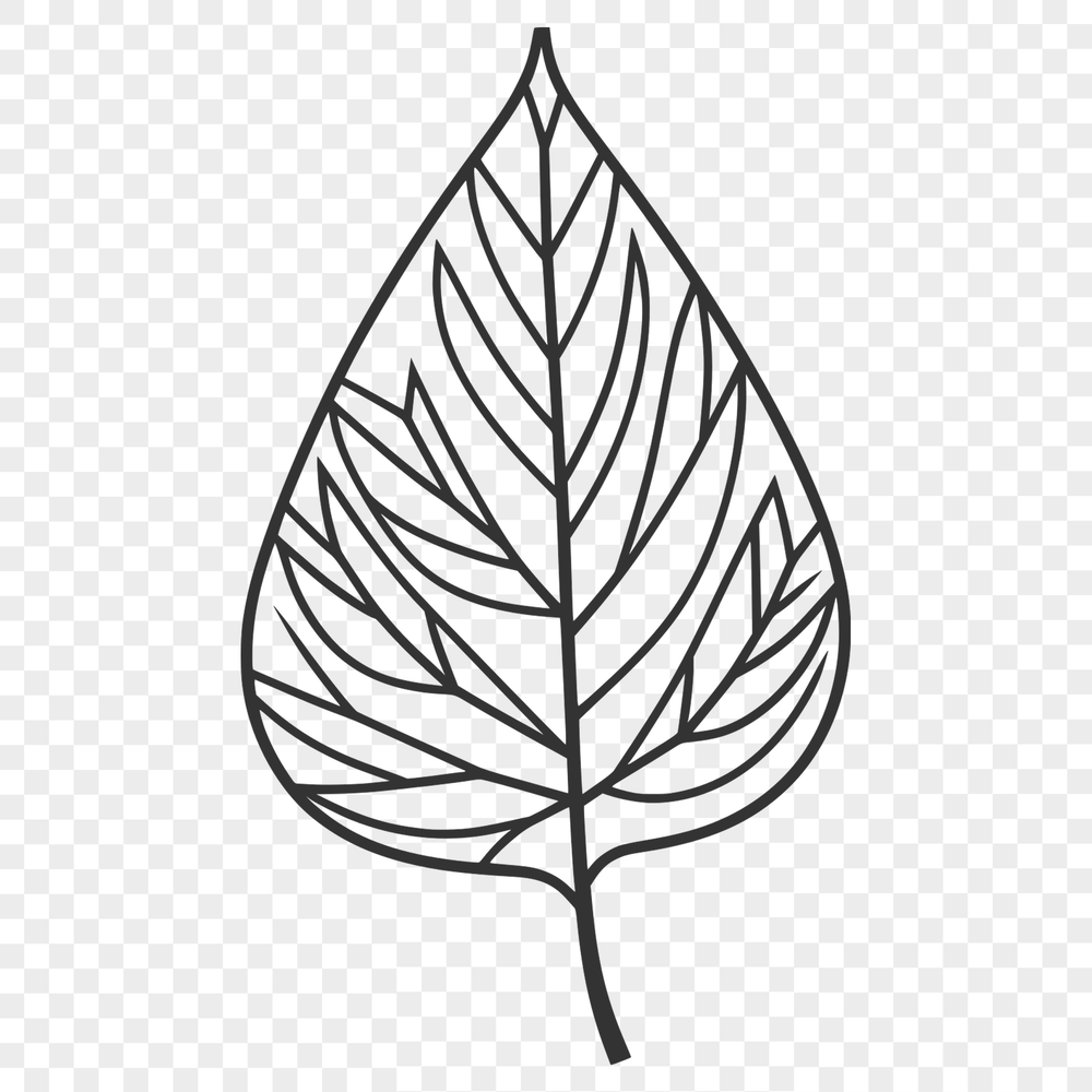 Simple Vector Nature Image A detailed digital design of a leaf with clean lines and precise edges.