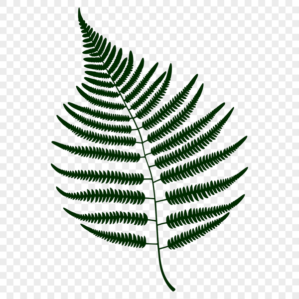 A stylized illustration of a single green leaf with pointed edges and veins, suitable for digital design projects.