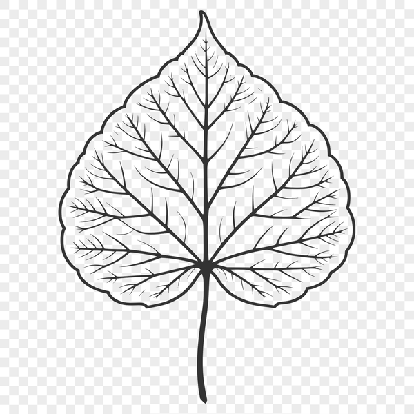 A single, detailed leaf design in vector format, suitable for cutting machines and laser cutters.