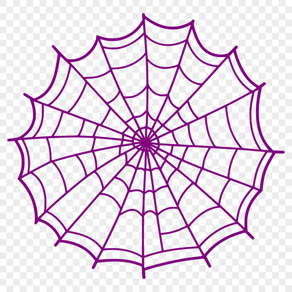 A high-resolution SVG illustration of a spider web with intricate details.