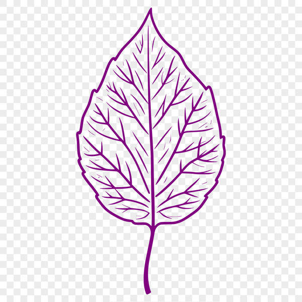 A single, intricately designed leaf with detailed veins and edges, suitable for vector graphics.