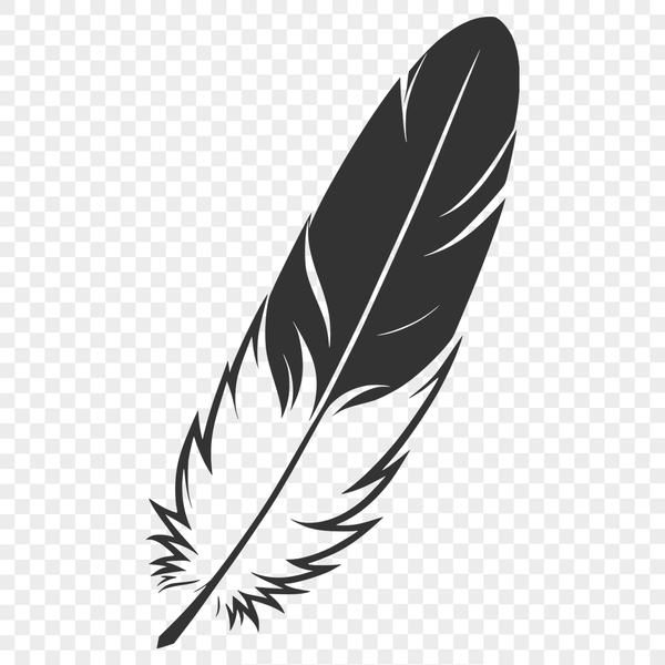 Single Bird Feather Graphic A high-quality vector illustration of a single bird's feather.