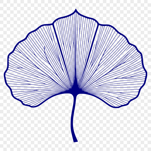 Leaf Illustration with Stem and Veins A green leaf with a stem and veins, designed as a vector graphic.