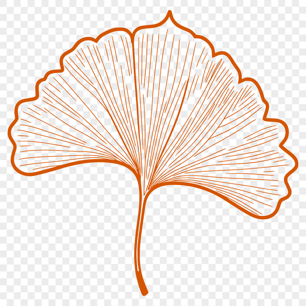 A single leaf with intricate details, suitable for vector art designs.