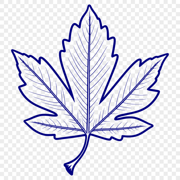 Beautiful Vector Leaf Illustration A free vector leaf illustration designed for digital use in graphics projects.
