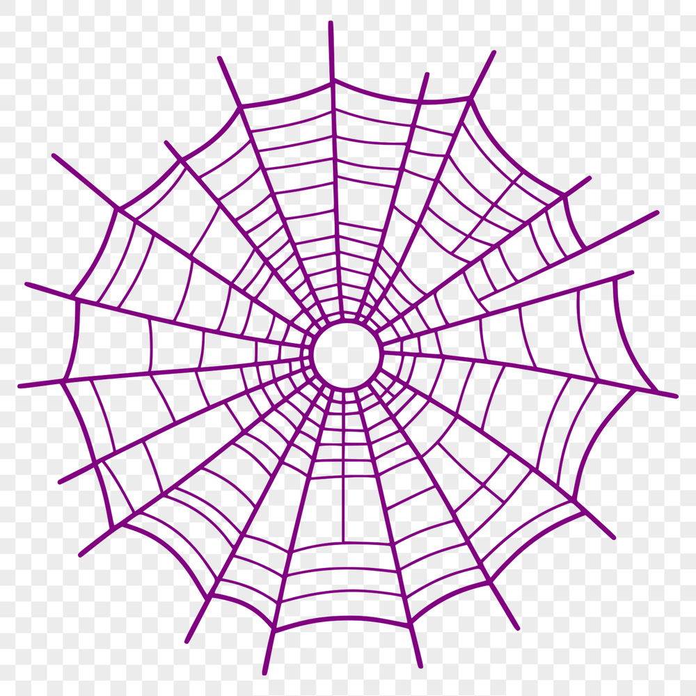 An intricate pattern of interconnected lines forming a spider's web in high-resolution SVG format.