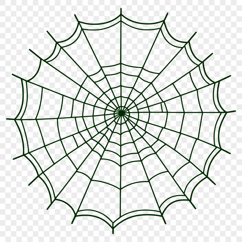 Delicate Spider Web Vector A delicate, intricately designed spider web, suitable for vector graphics projects.
