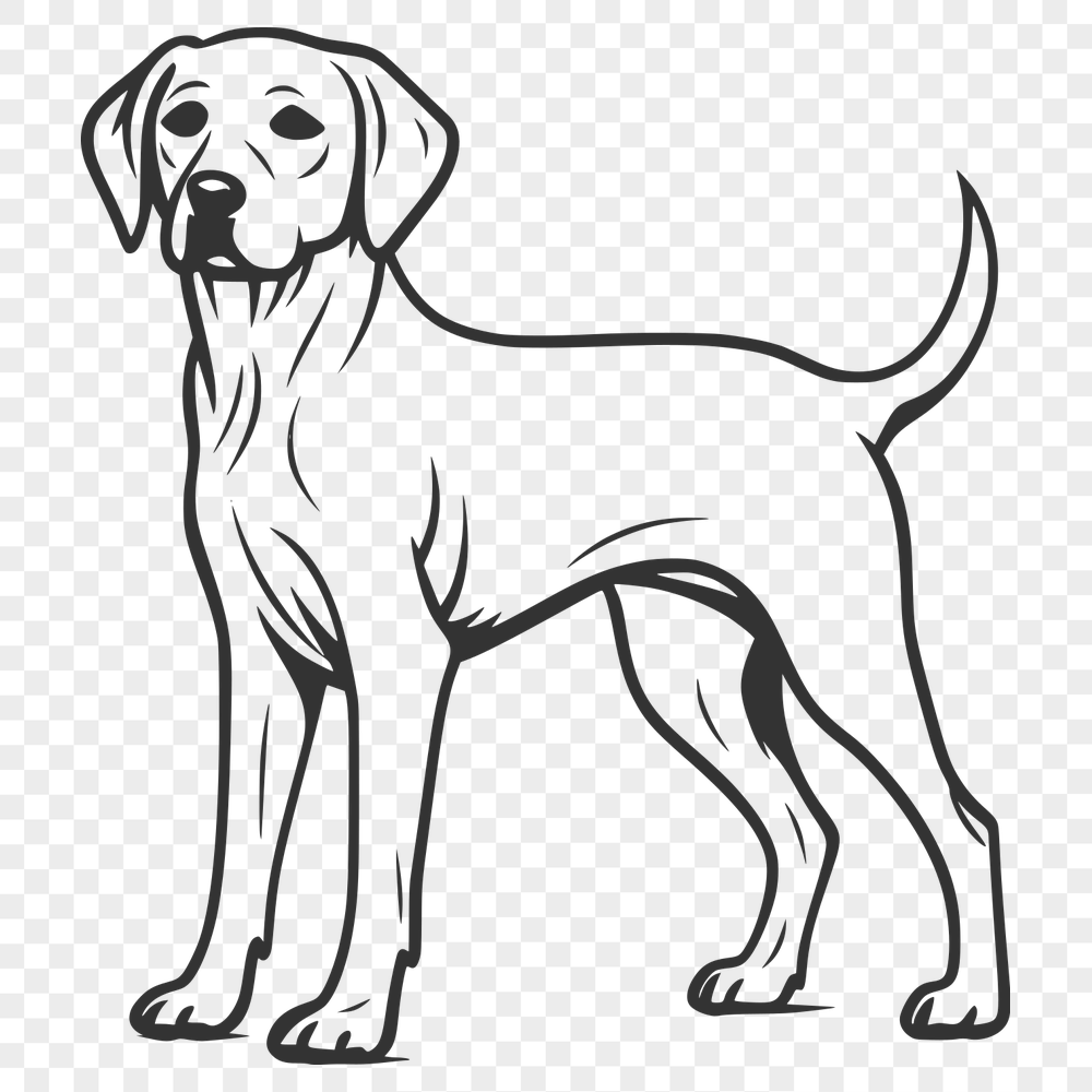 Unique Labrador Retriever - For Cricut Project