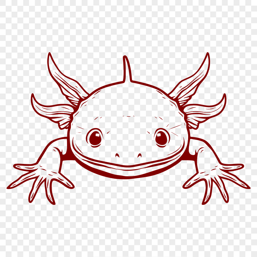 Free Artistic Axolotl Vector Drawing