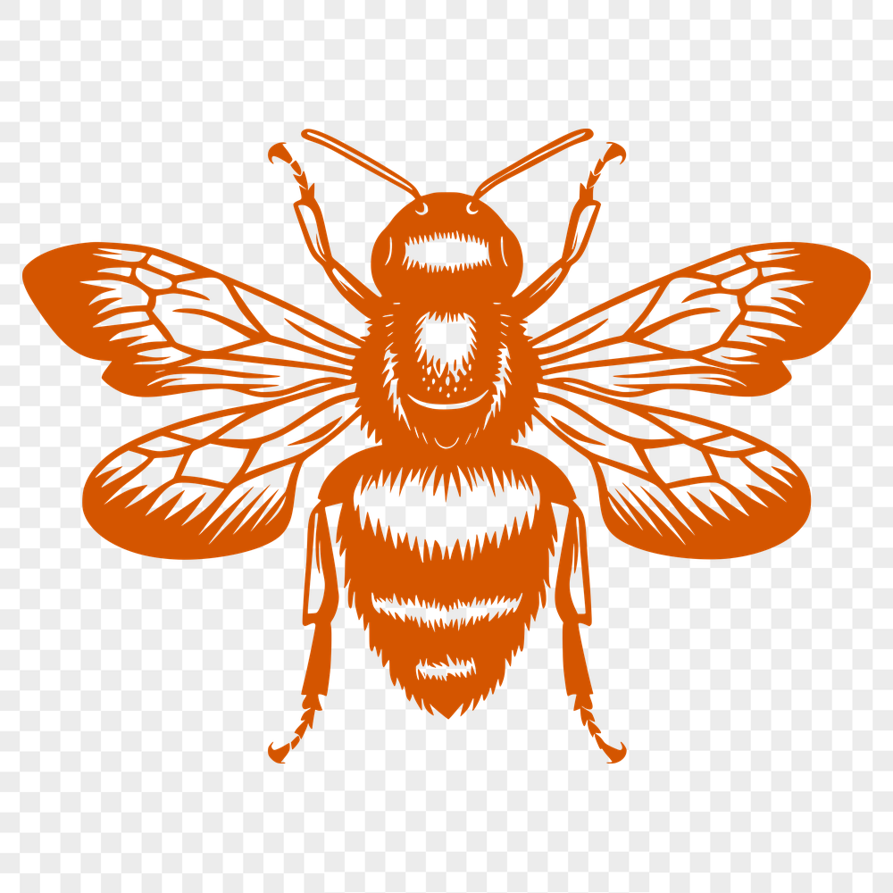 Free Stunning Bee Vector Drawing