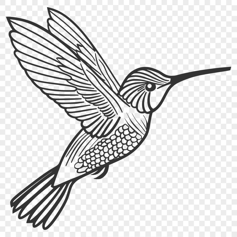 Free Flying Hummingbird Design