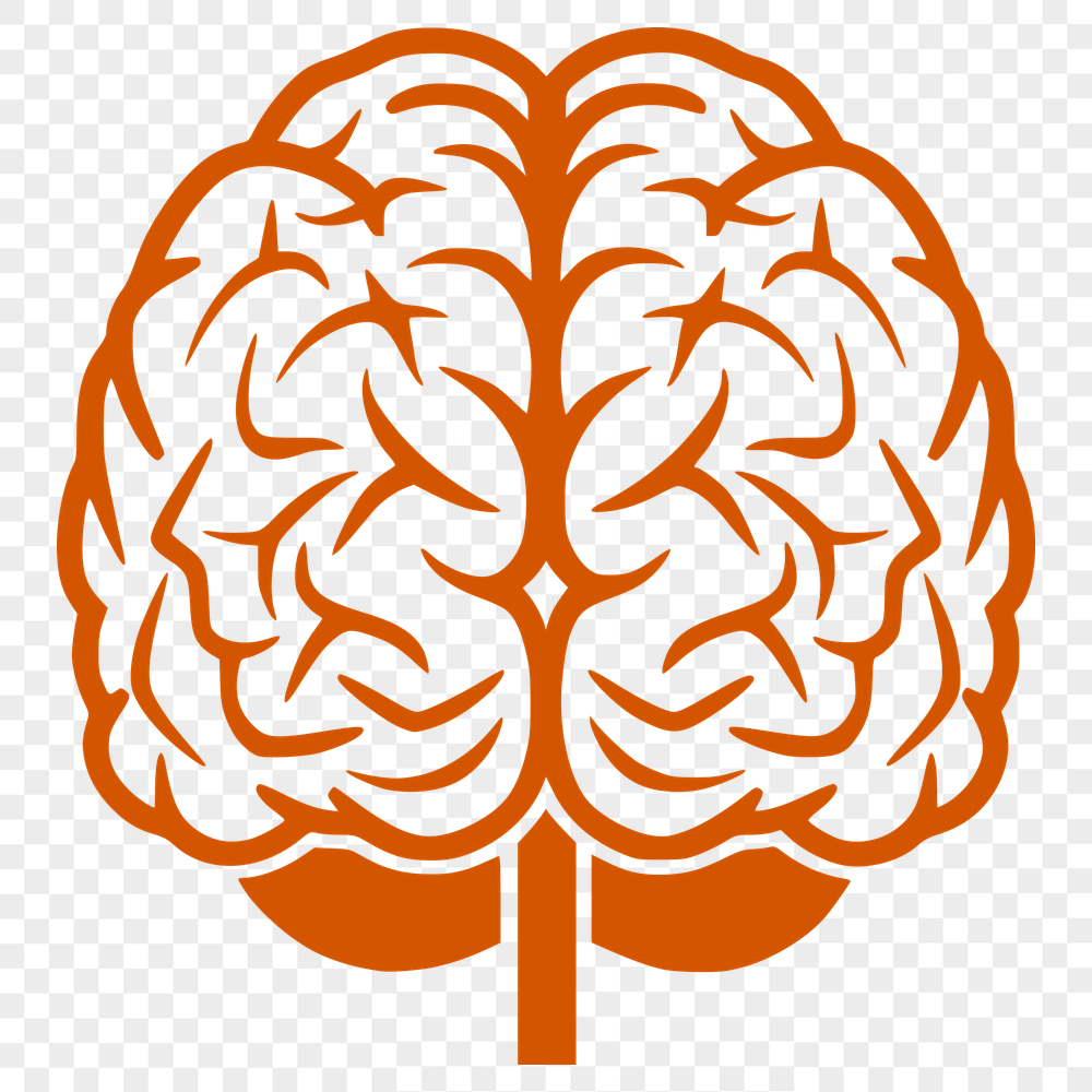 Free Unique Brain Clipart