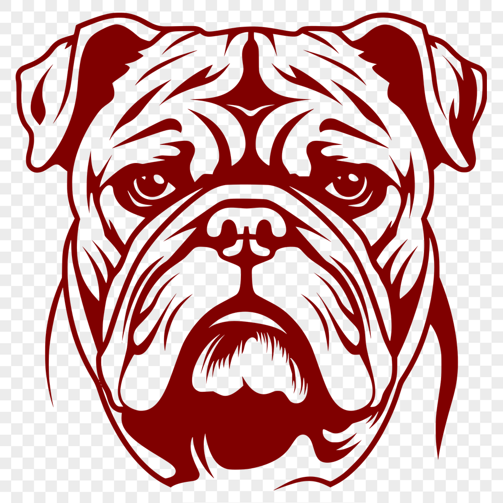 Beautiful Bulldog Illustration