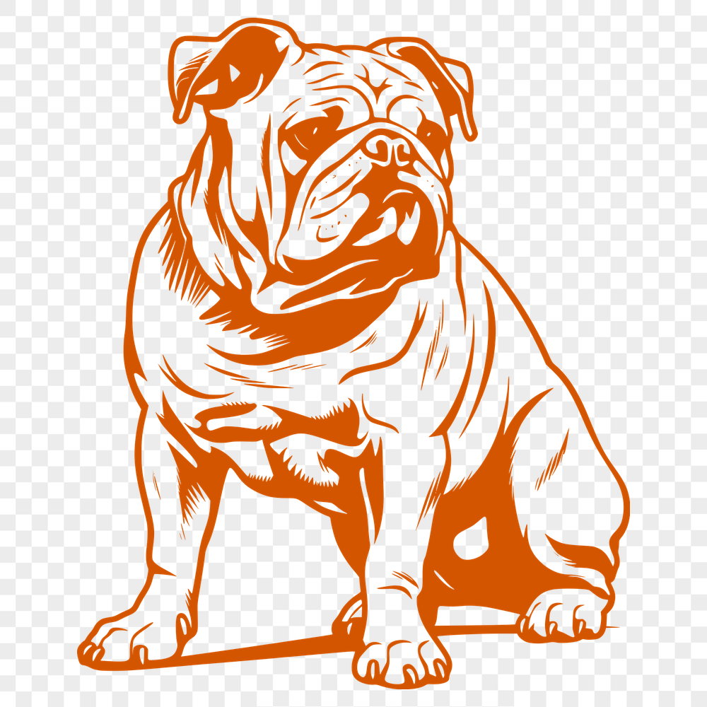 Unique Bulldog - For Animal Project