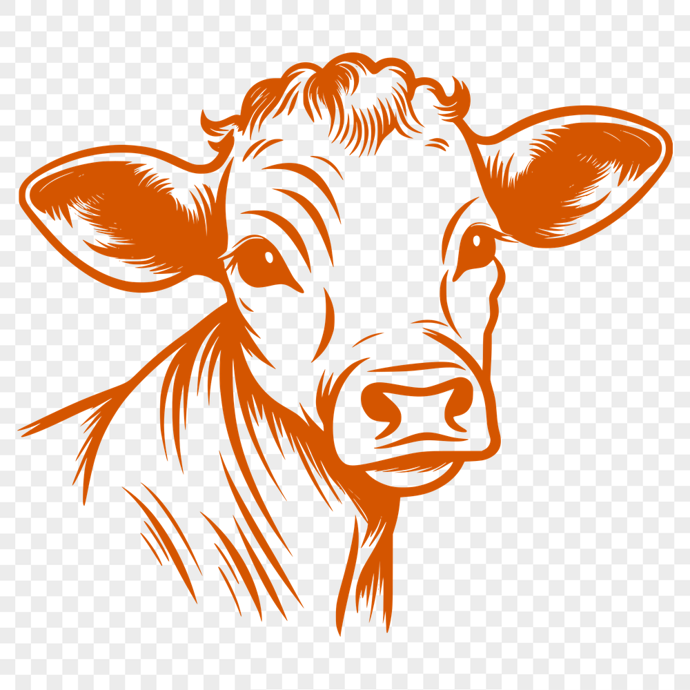 Beautiful Cow Drawing