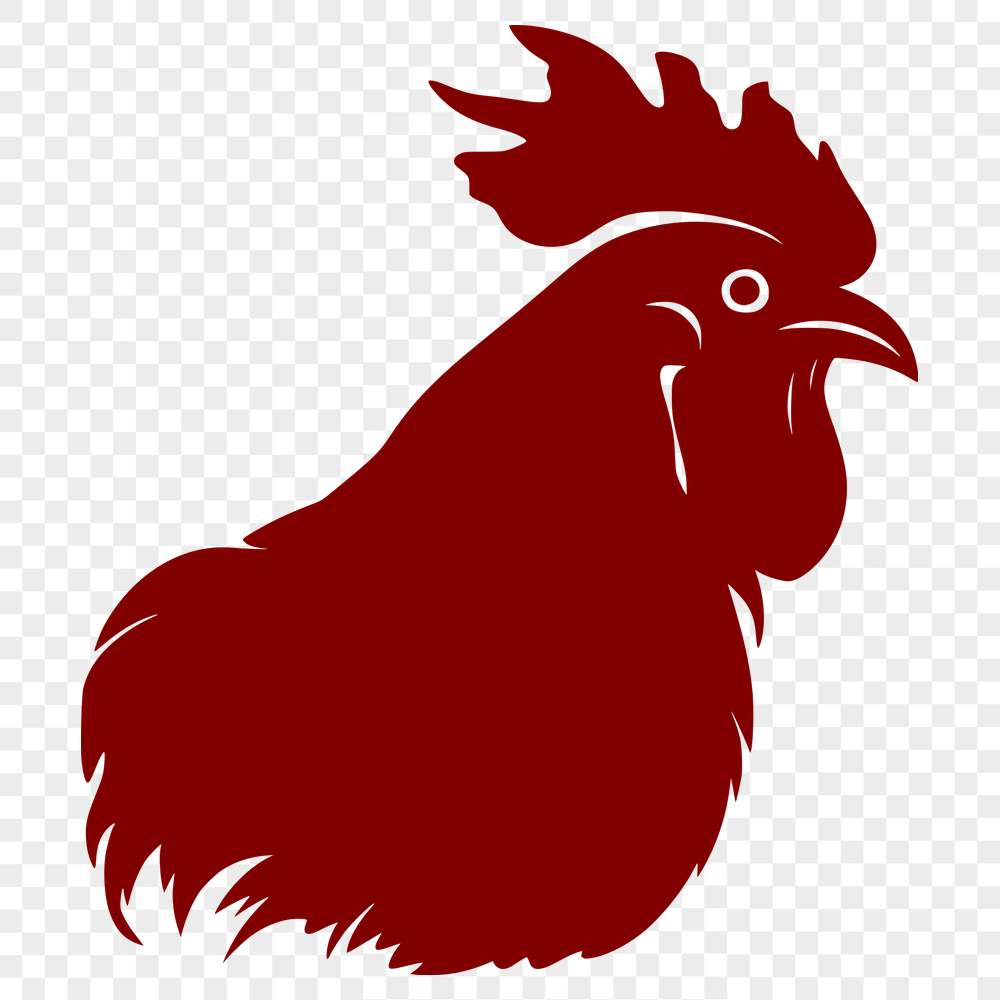 Free Beautiful Chicken Vector Illustration