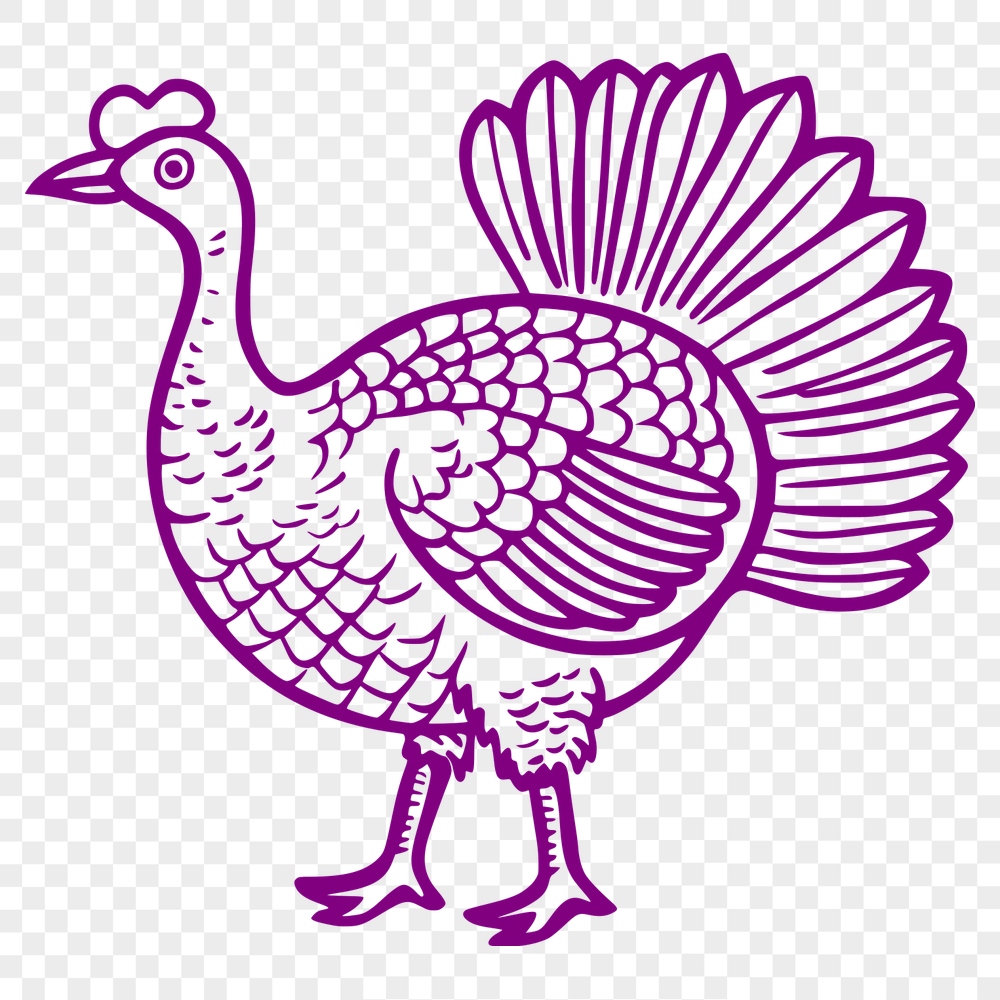 Creative Turkey Design