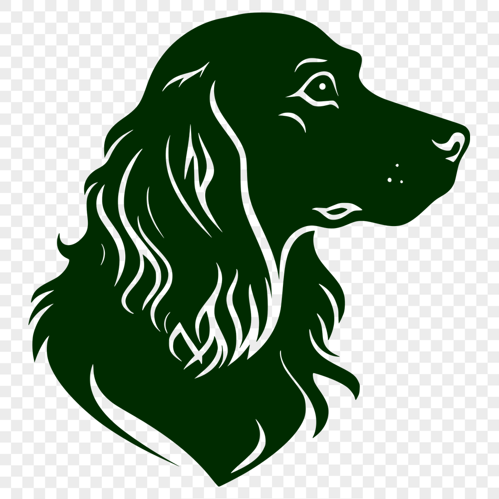 Stunning Cocker Spaniel - For Vinyl Project