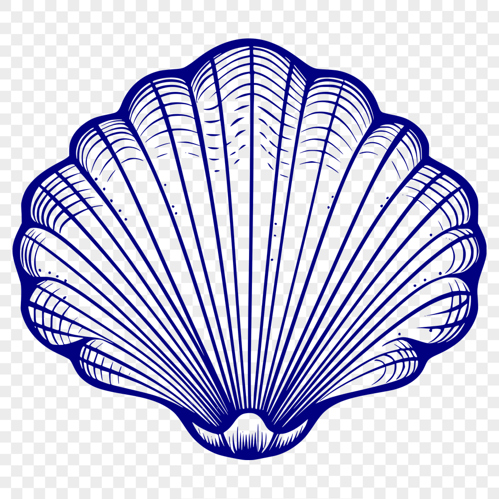 Stunning Seashell - Vinyl SVG Free Download