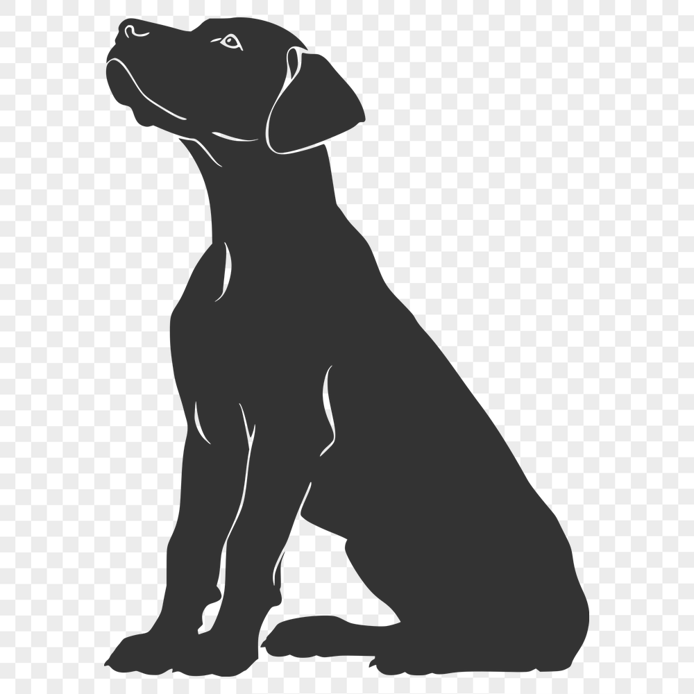 Unique Sitting Great Dane Drawing