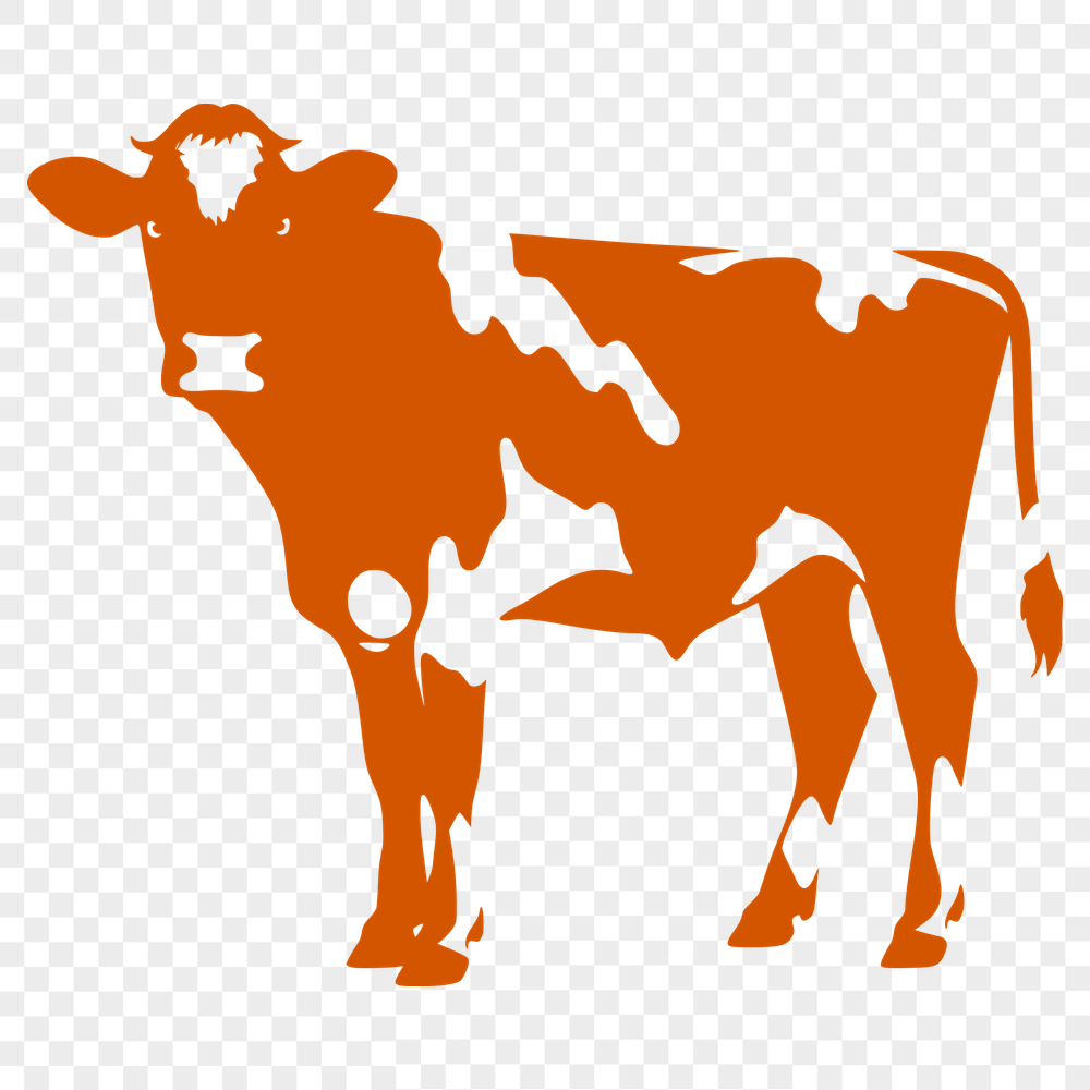 Free Cow Illustration