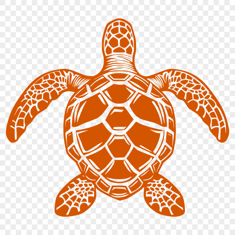 Free Stunning Sea Turtle Vector Art