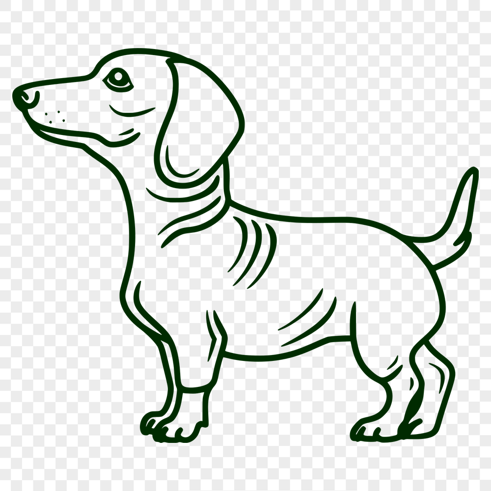 Free Standing Dachshund Clip Art