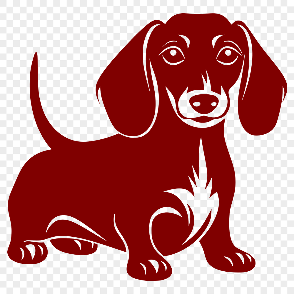 Free Standing Dachshund Vector Illustration