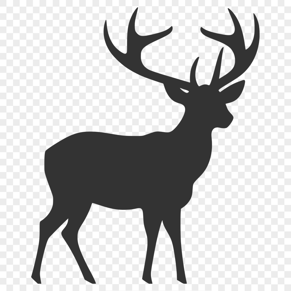 Beautiful Deer SVG