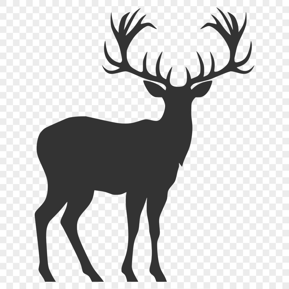 Free Beautiful Deer Digital Artwork