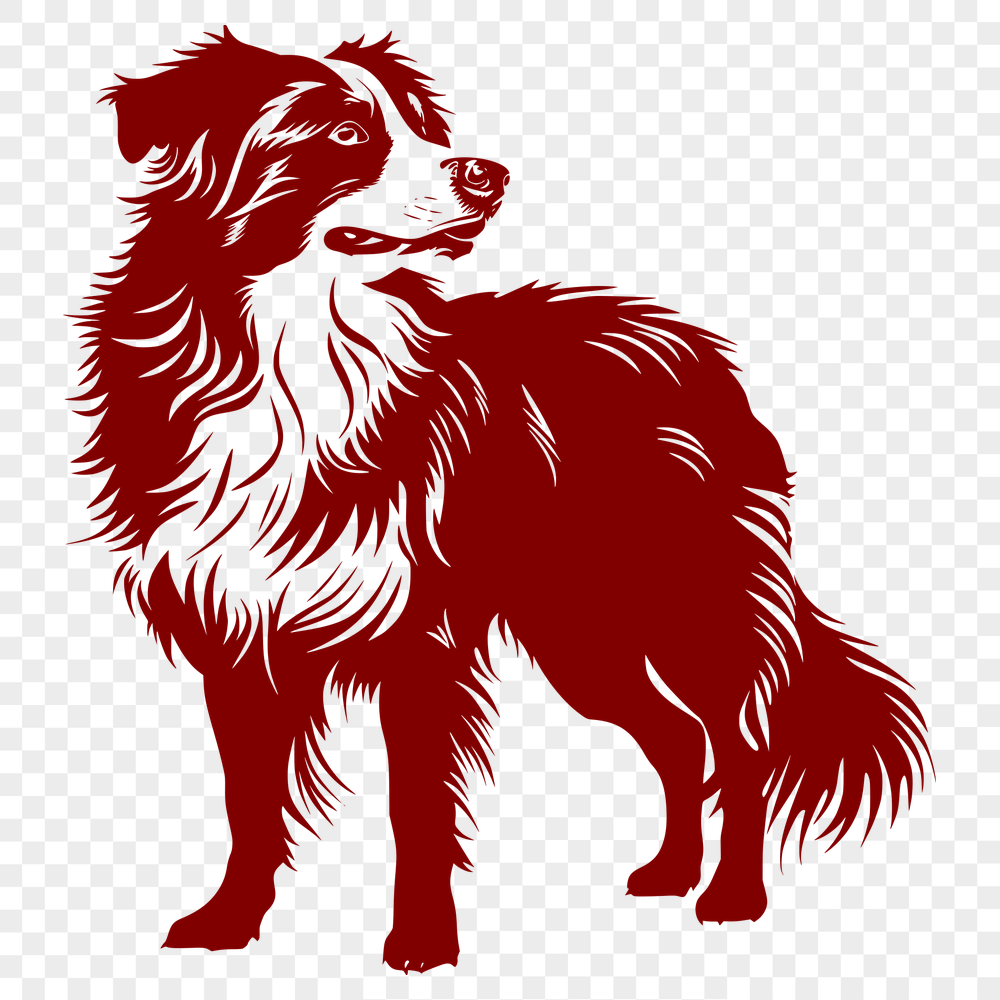 Creative Standing Australian Shepherd PDF