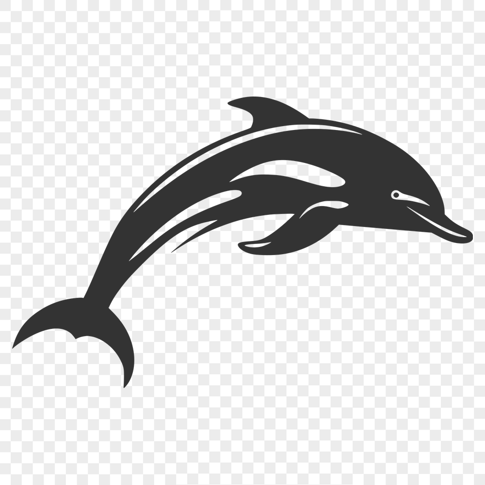 Free Creative Dolphin Template