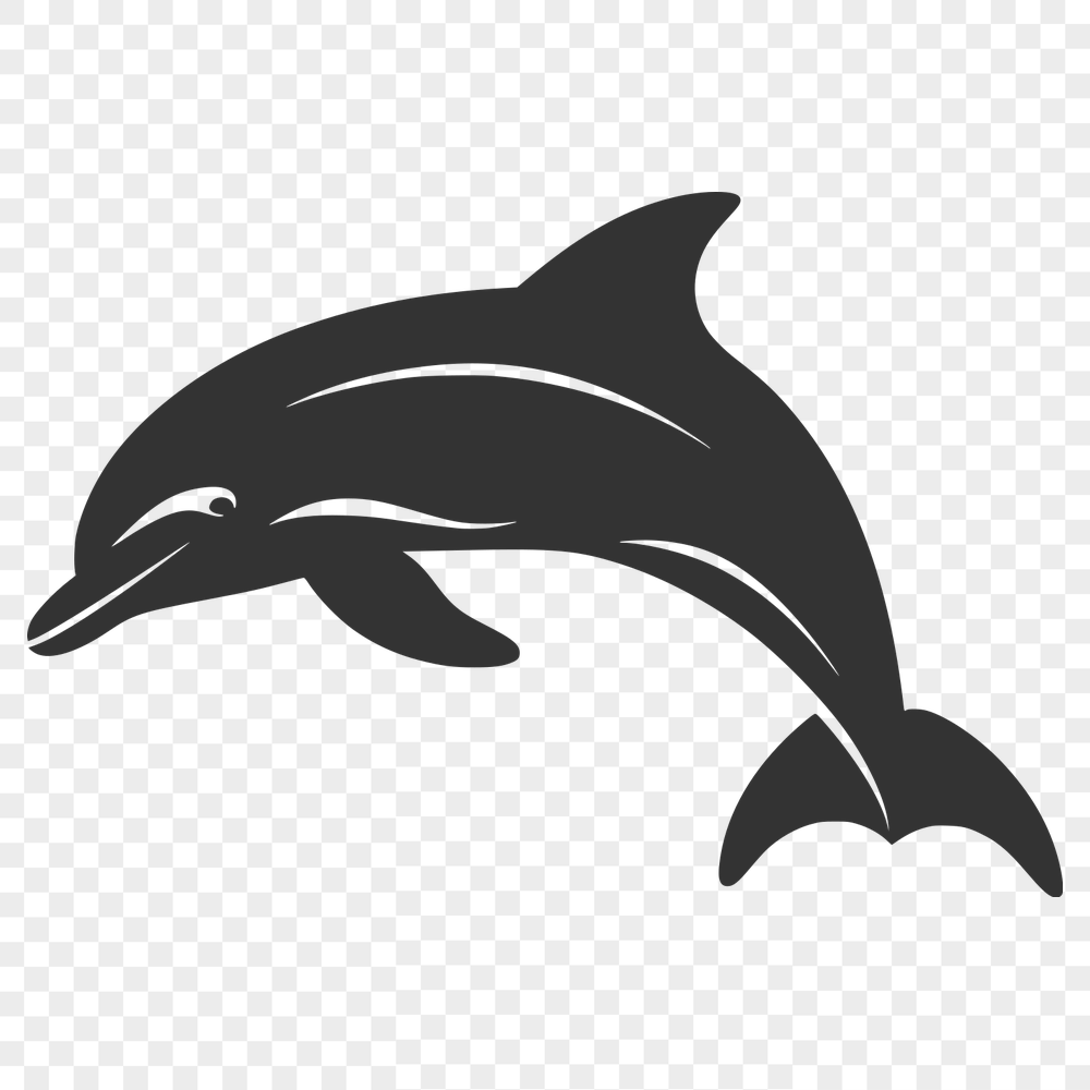 Unique Dolphin Vector Drawing