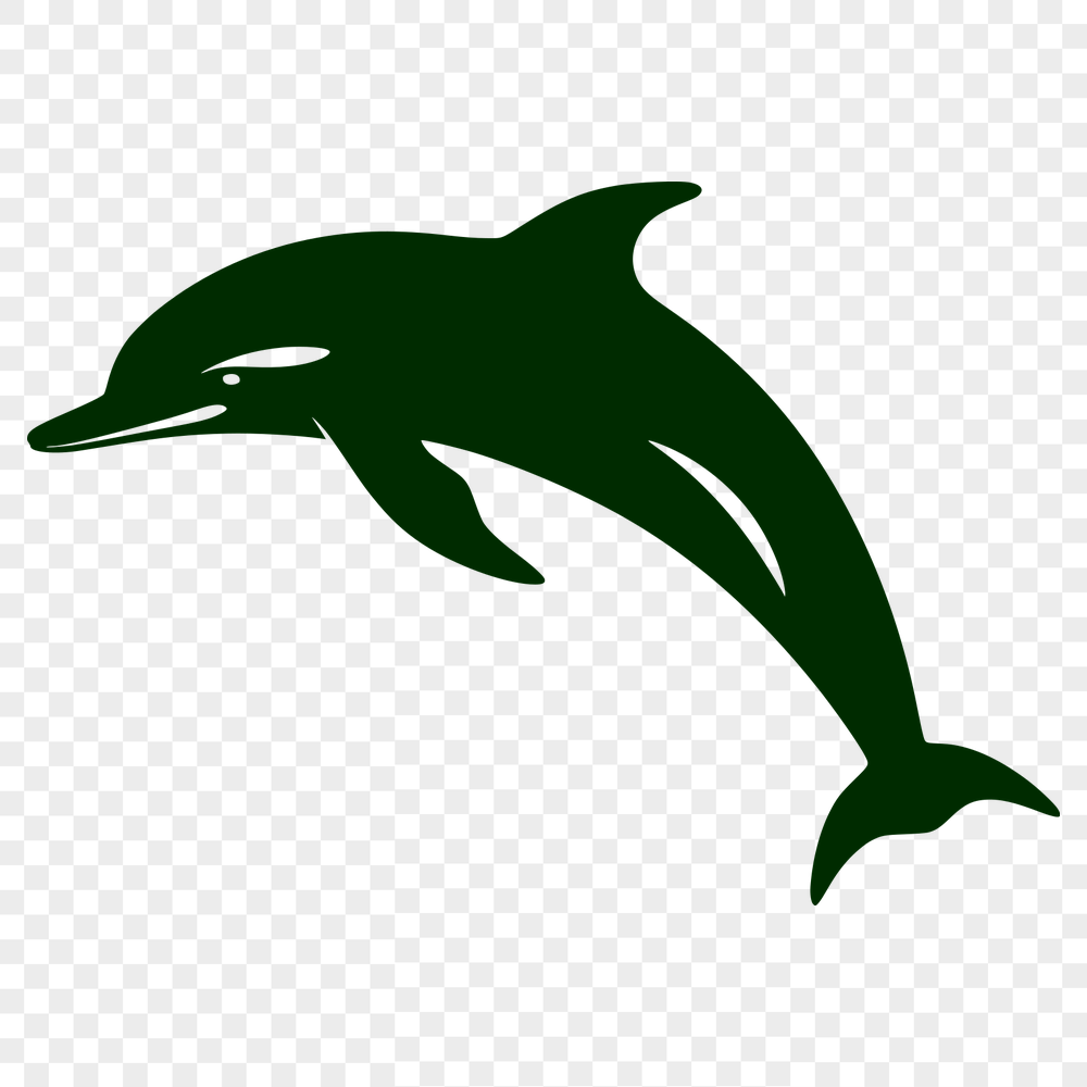 Free Dolphin PNG