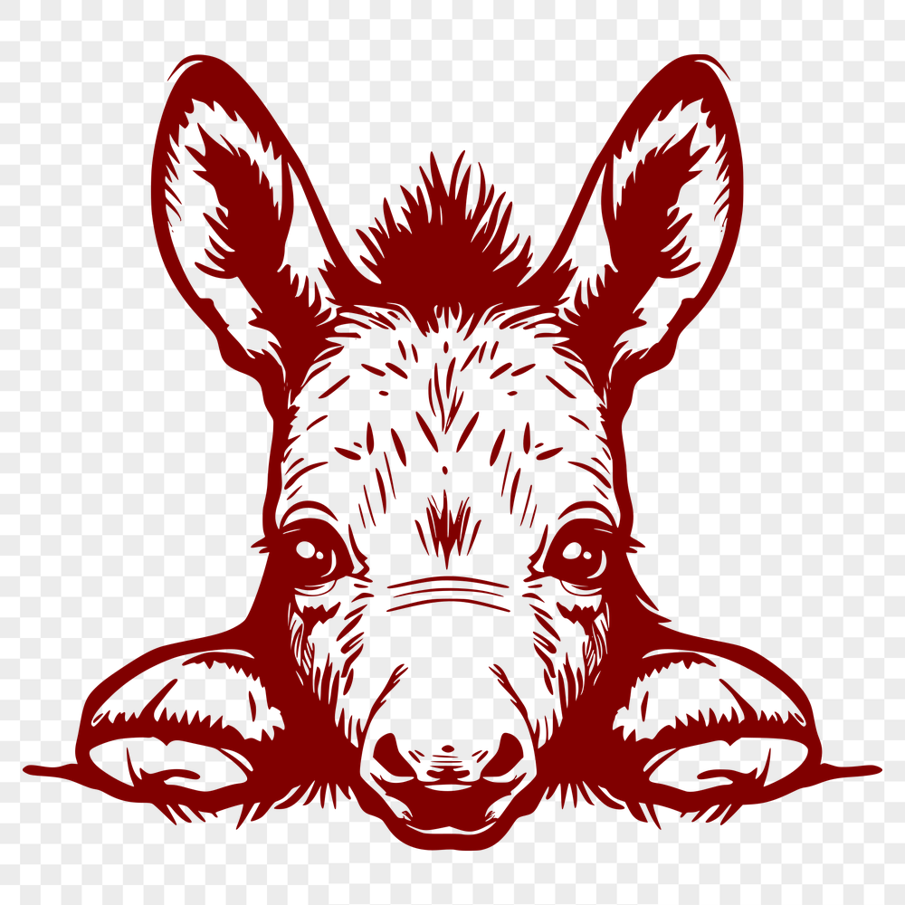 Free Cute Donkey Image