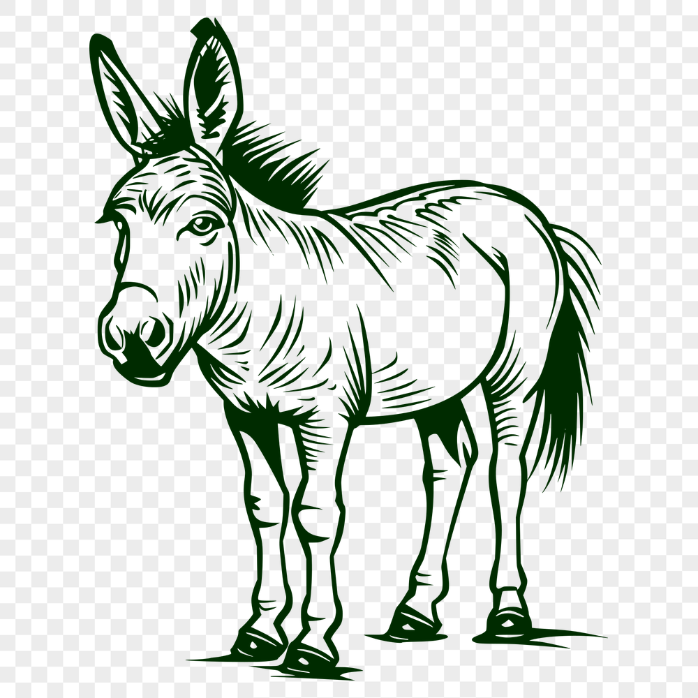 Creative Donkey Digital Art