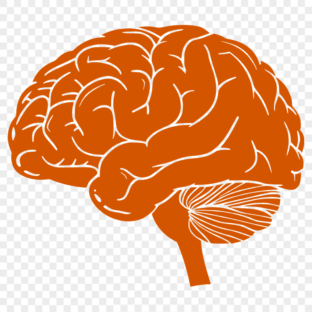 Free Unique Brain Decal