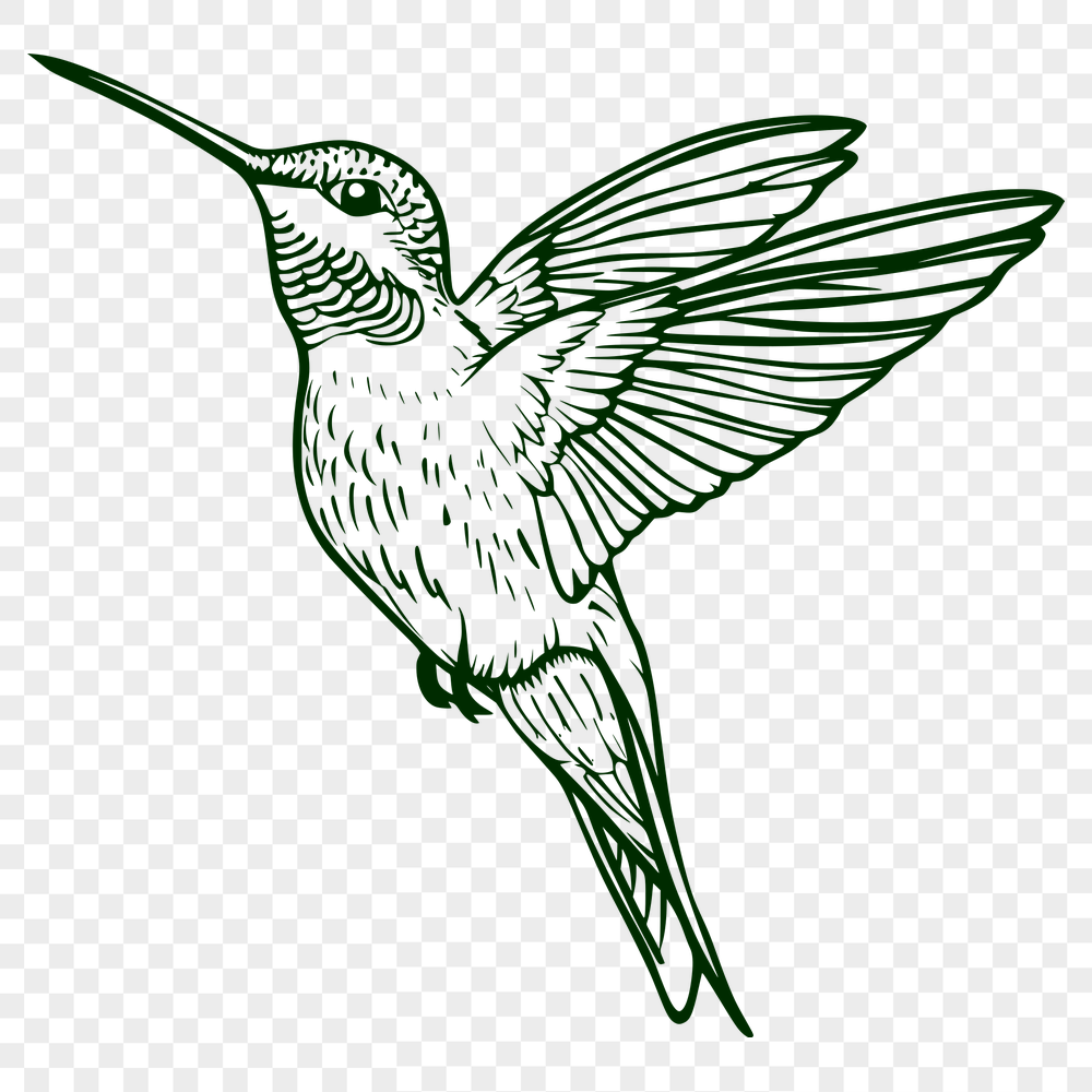 Unique Bird In PNG & SVG