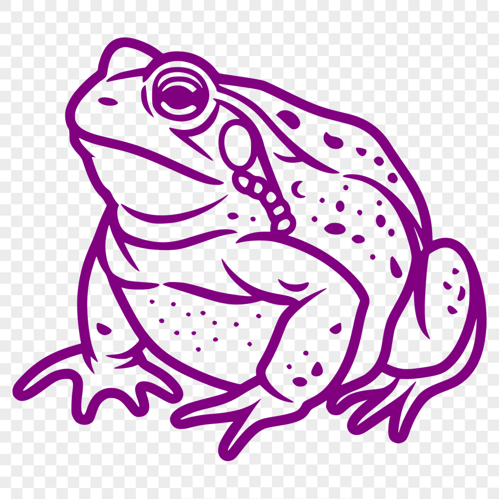 Artistic Toad PDF