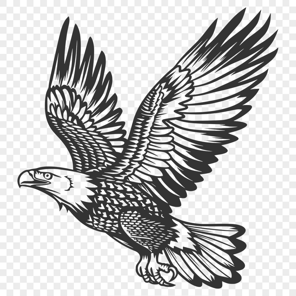 Free Flying Eagle Digital Art