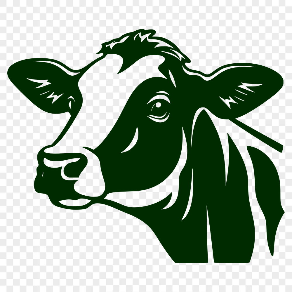 Free Beautiful Cow Drawing