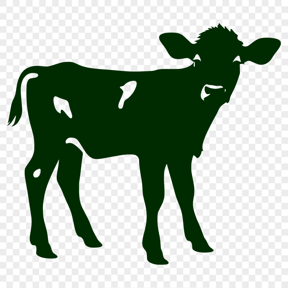 Free Cow PNG