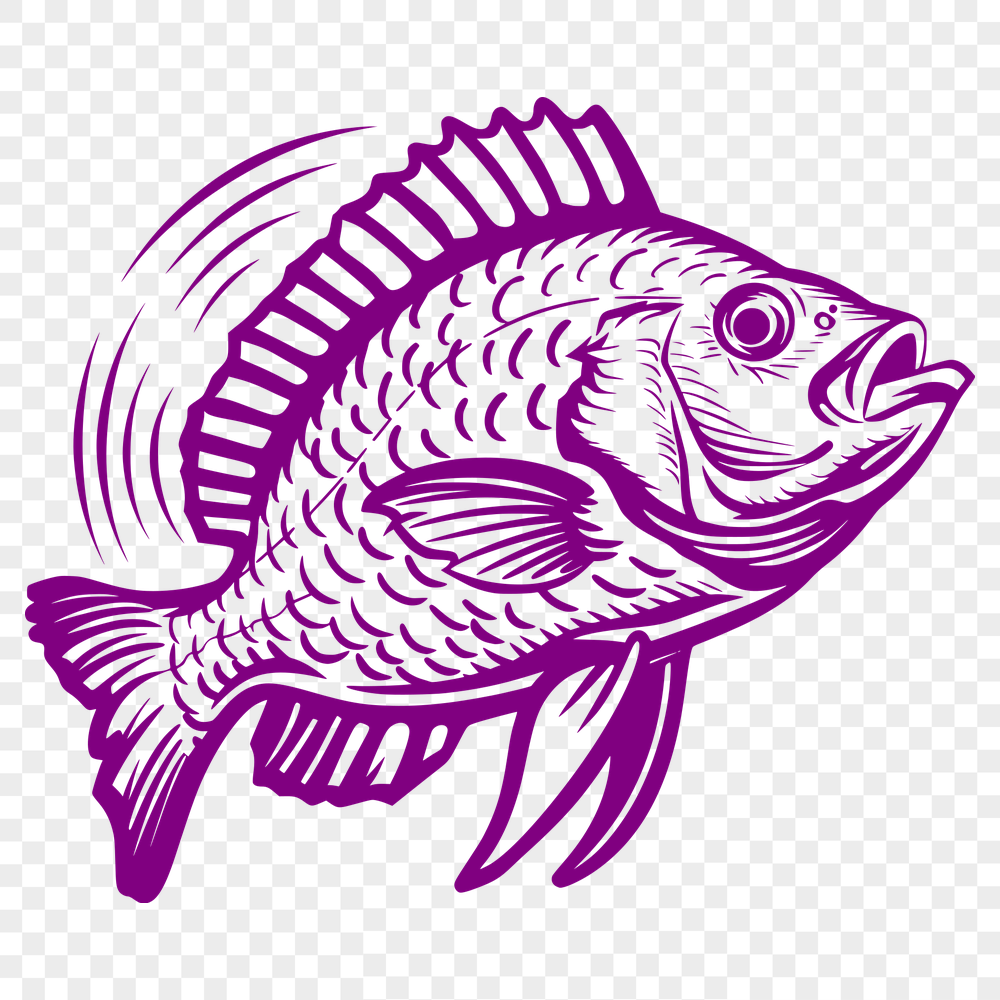 Free Unique Fish Template