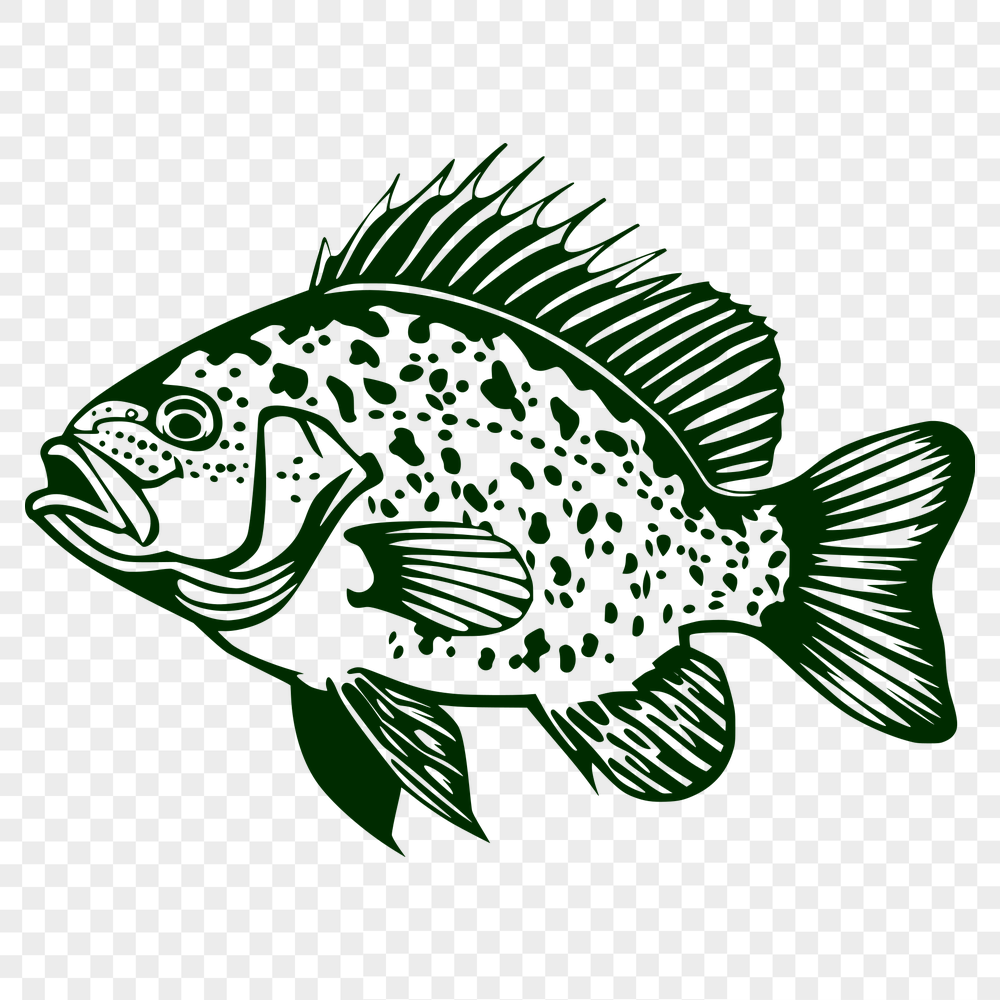 Artistic Fish Template