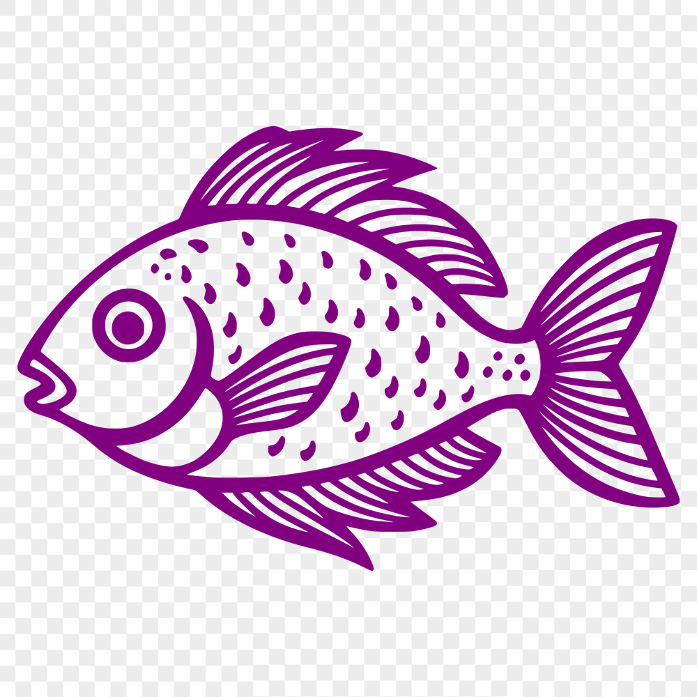 Free Unique Fish Drawing