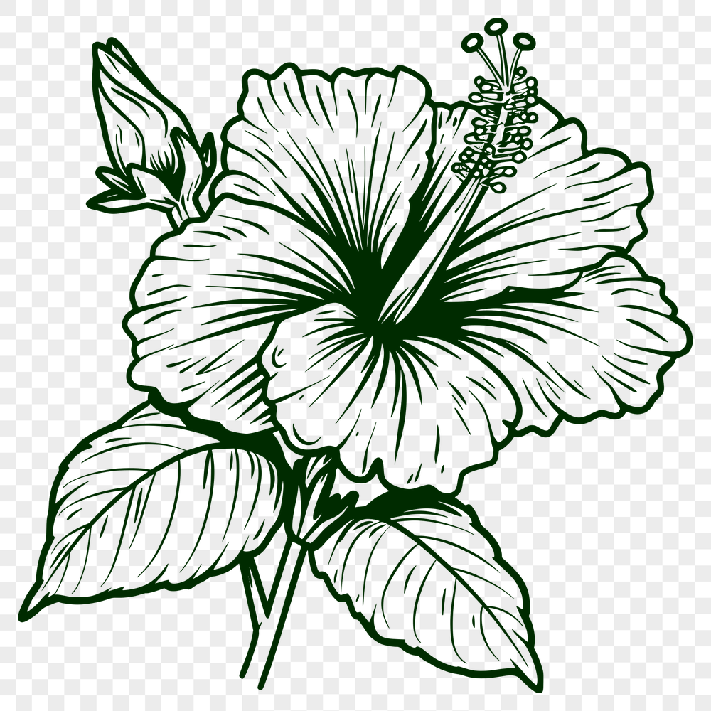 Free Unique Flower Vector Craft File