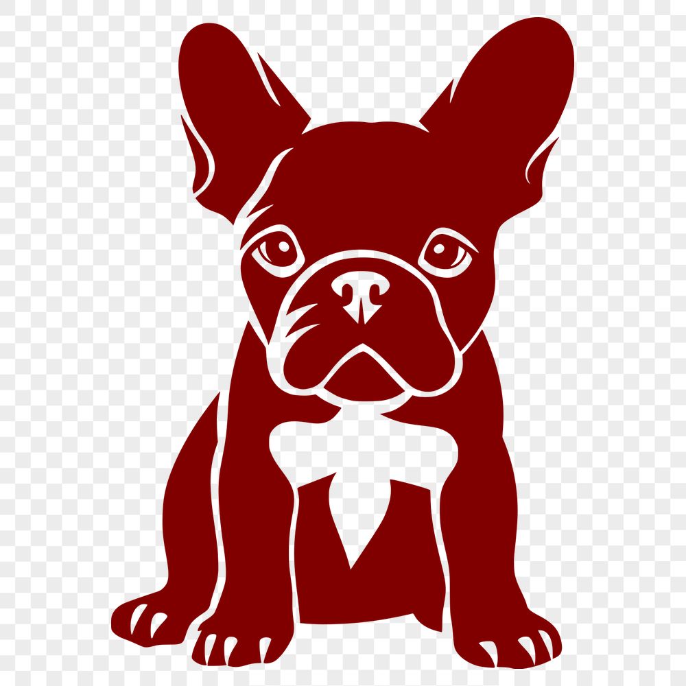 Unique French Bulldog Image