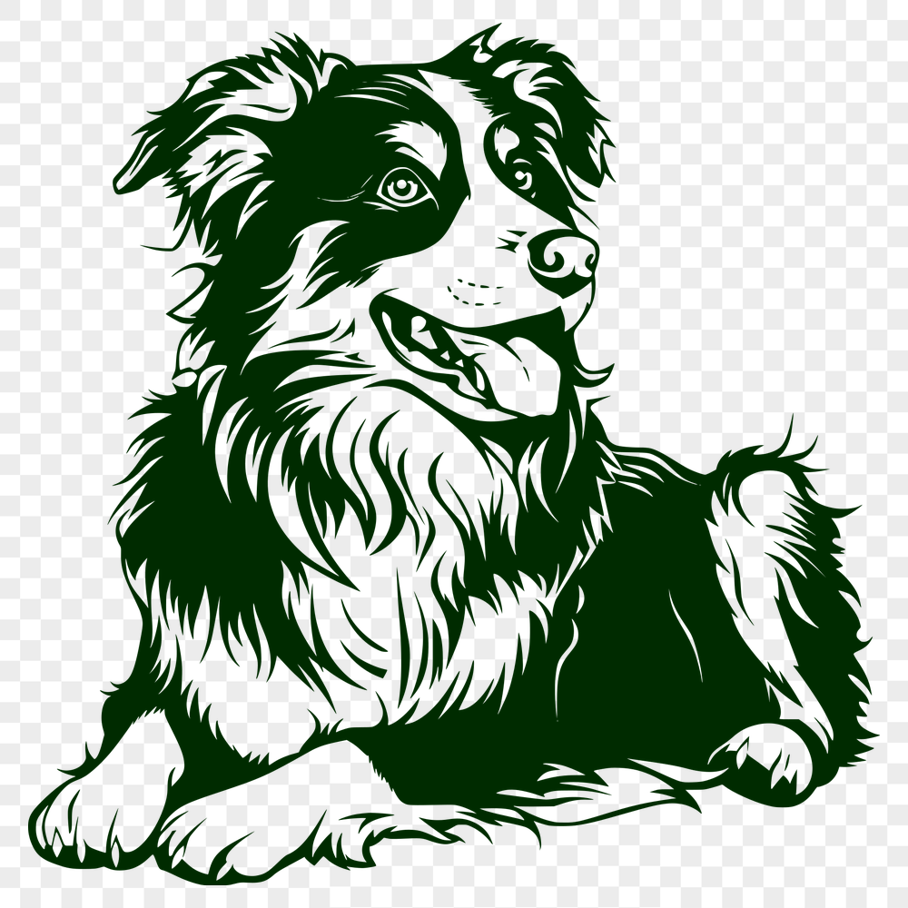 Laying Australian Shepherd PDF